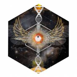 Tear a Hole in the Collective Vision